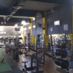 Gimnasio Flex