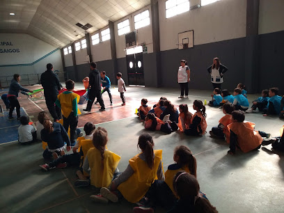 Gimnasio Municipal Santiago Lujan Saigos