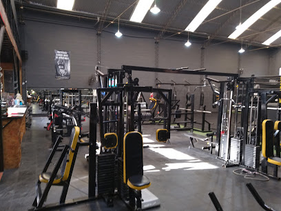Viking's Gym & Box