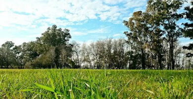 Chacra petion