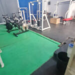 Gym Fox