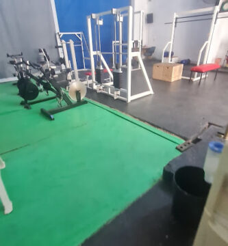 Gym Fox