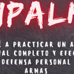 Sipalki escuela Yin-ki