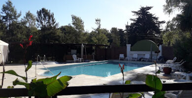 Hotel Oasis Pehuen-co - Apart Hotel
