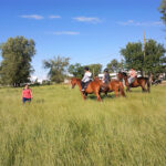 Club Hipico Roberts De San Martin