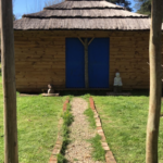 Ikigai dojo