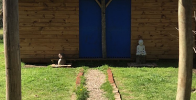 Ikigai dojo