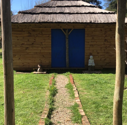 Ikigai dojo