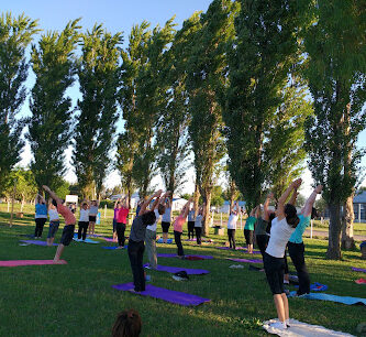 Yoga sin Fronteras