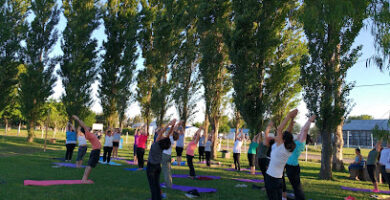 Yoga sin Fronteras