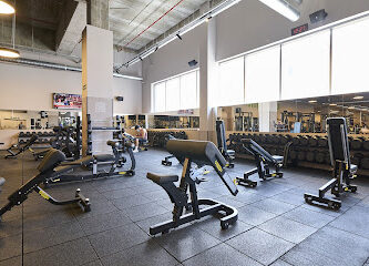 Dreamfit Sanse