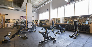 Dreamfit Sanse