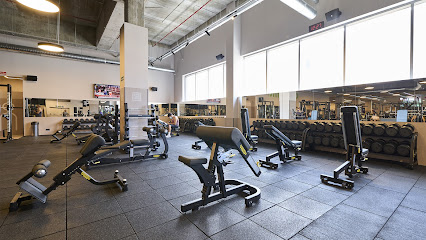 Dreamfit Sanse