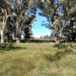Estancia El Palomar