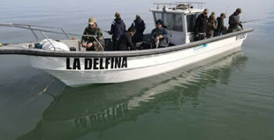Pesca Embarcada - Martin Dermit