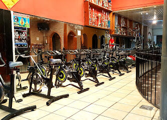 GIMNASIO ESTILO GYM