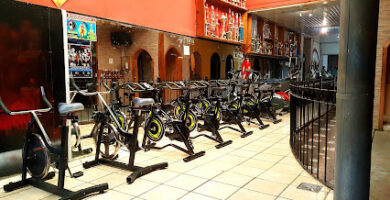 GIMNASIO ESTILO GYM
