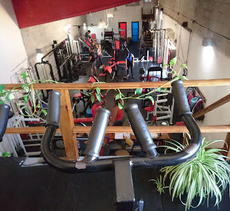 Max Strong GYM